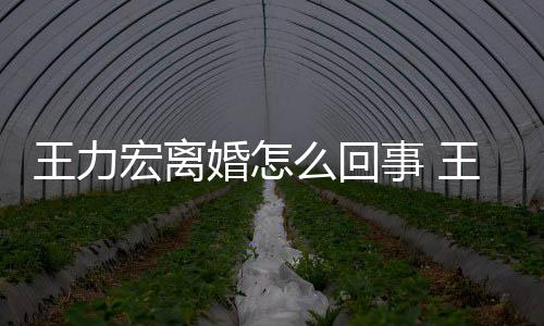 个孩么回子宏离婚怎宏为离婚有几王力王力事 什么